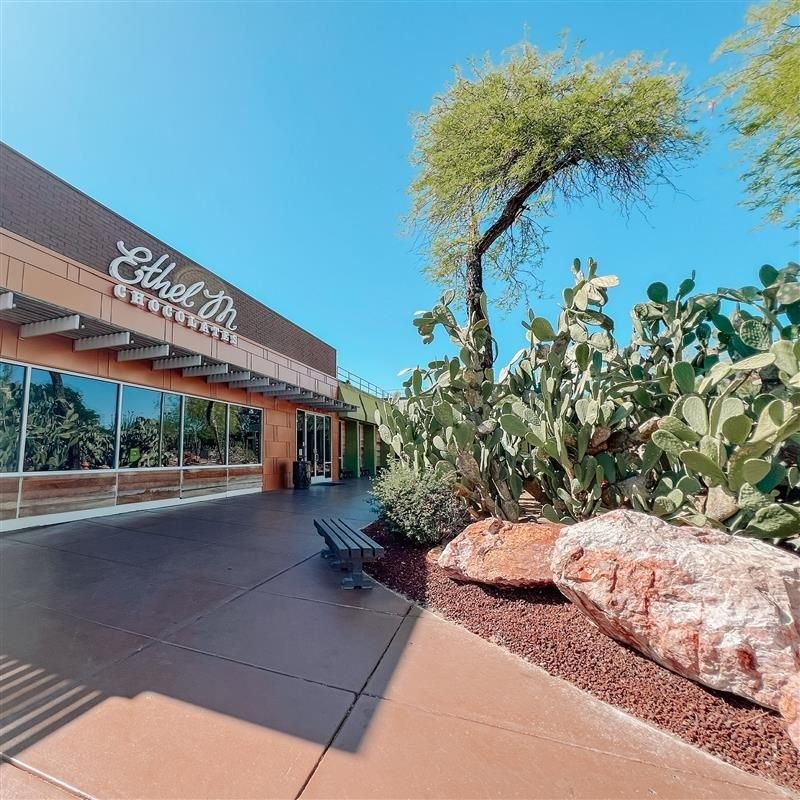 The Secret Chocolate Factory Tour