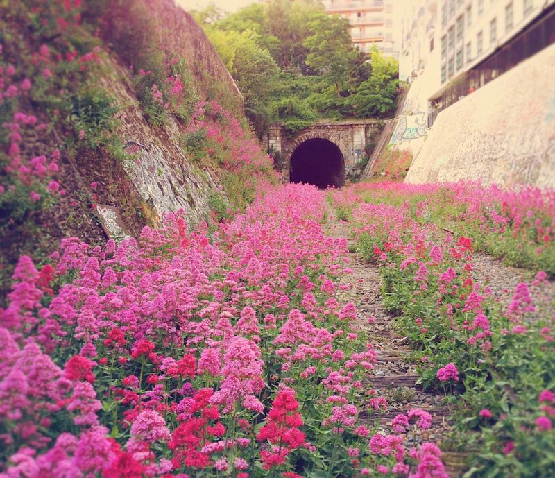 The Secret Railway of La Petite Ceinture