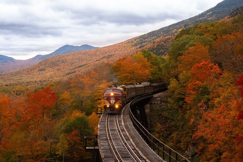 The Adirondack