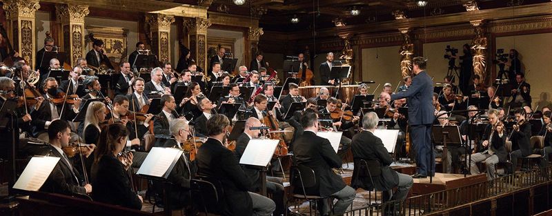 The Vienna Philharmonic