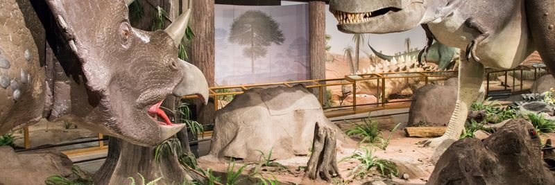 The Las Vegas Natural History Museum