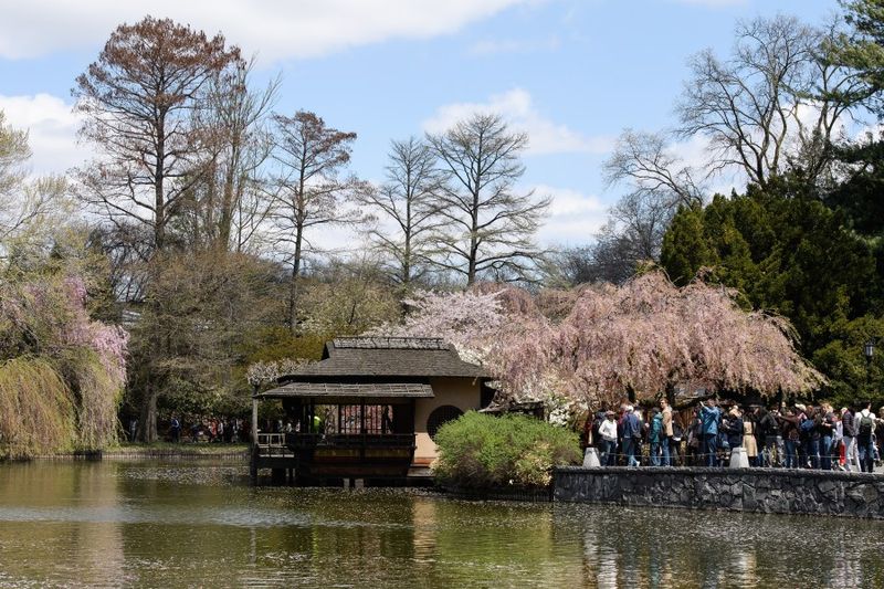 Brooklyn Botanic Garden