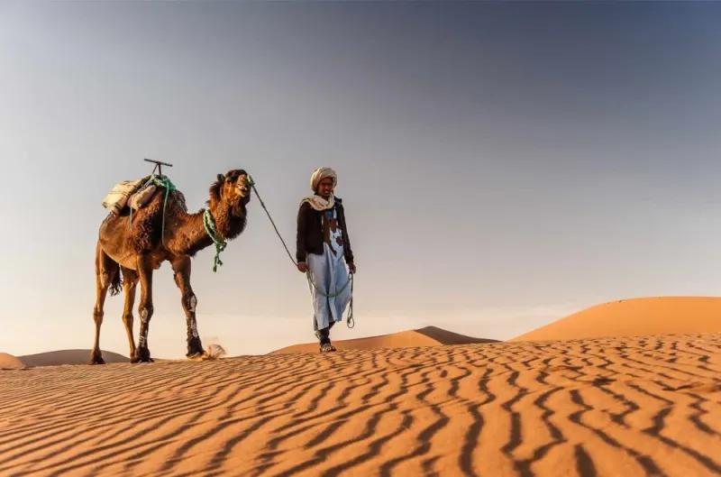 The Desert Nomad