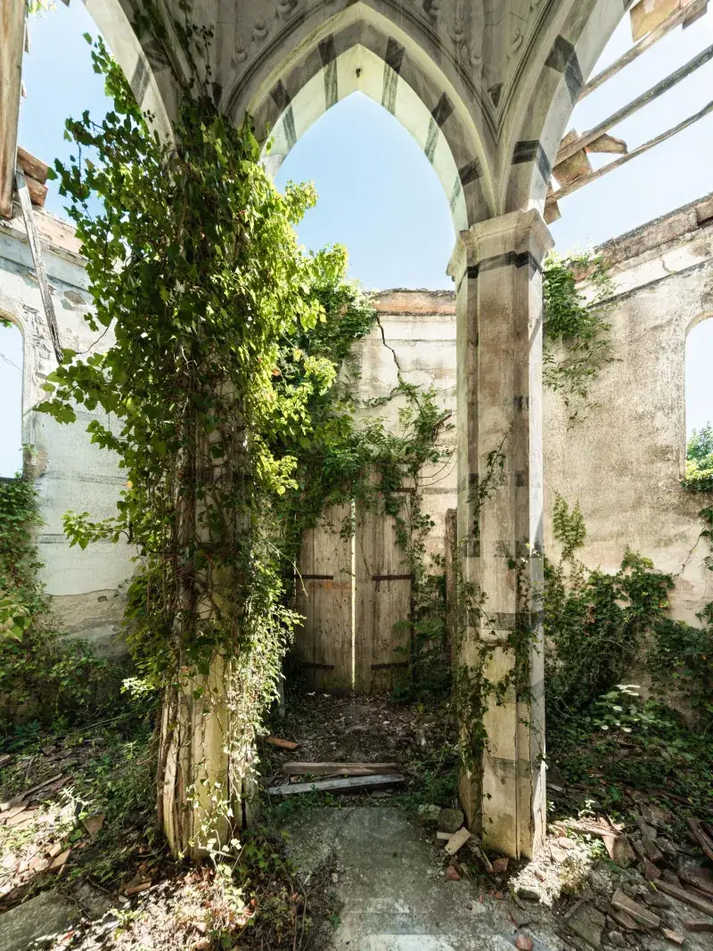 The Overgrown Courtyard