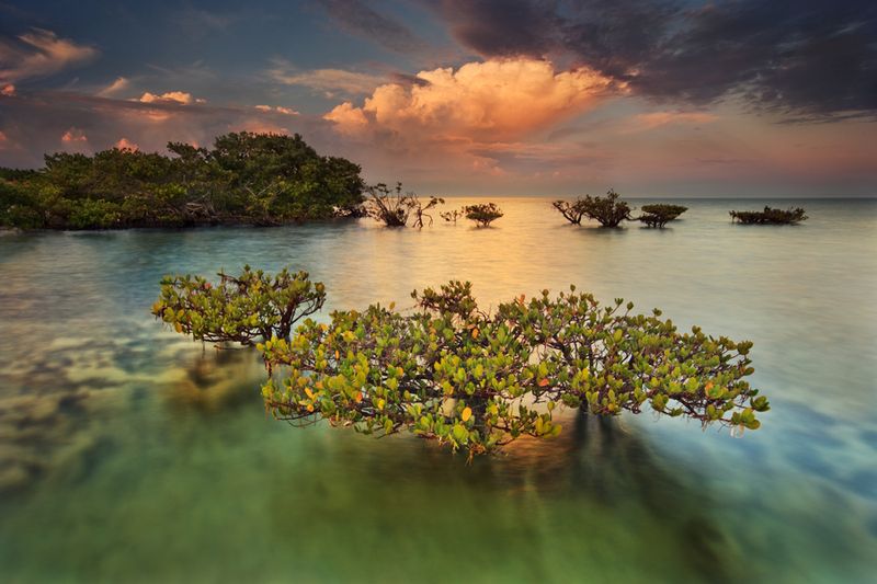 The Serene Beauty of Biscayne National Park