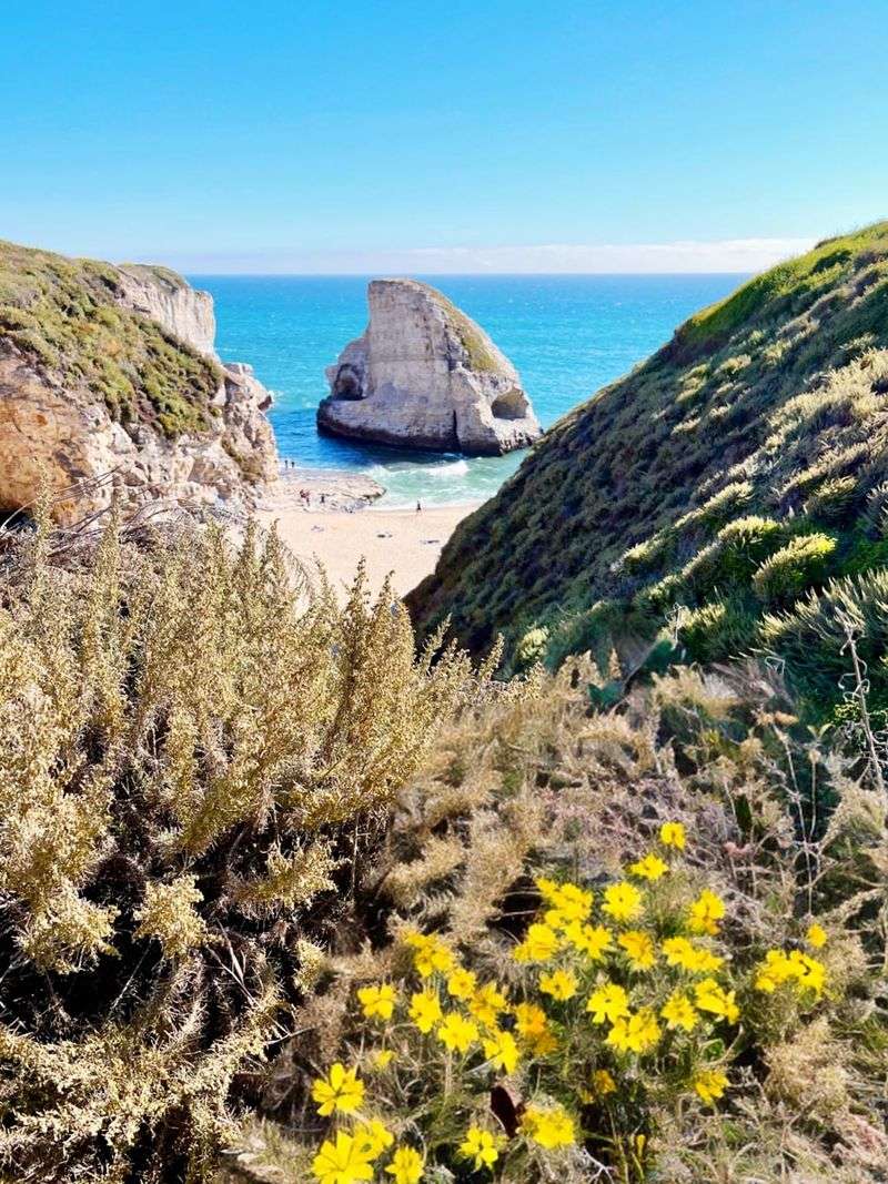 The Hidden Cove Discovery