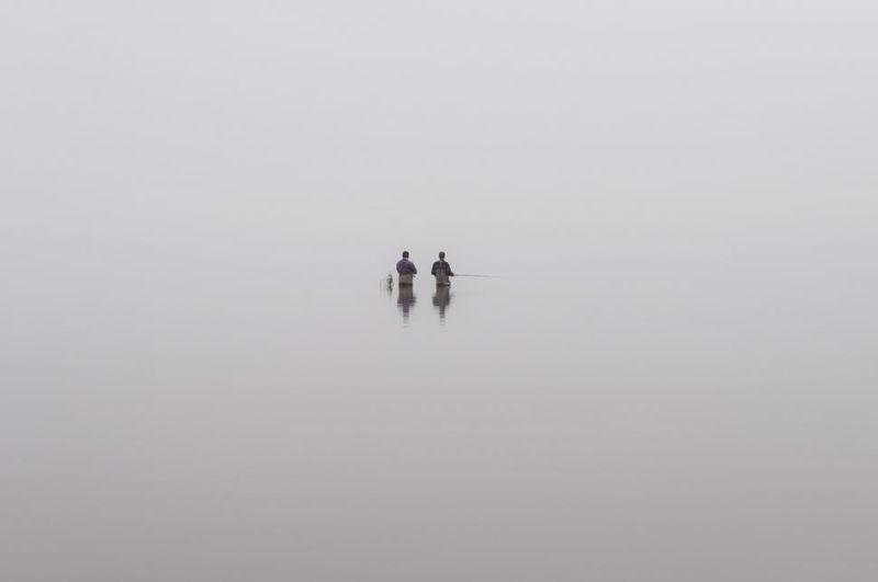 Mystery in the Fog