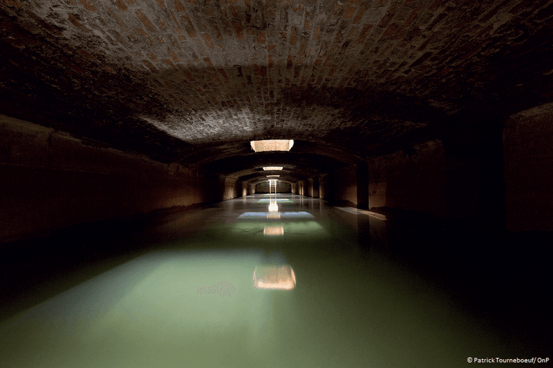 The Underground Lake of the Opéra Garnier