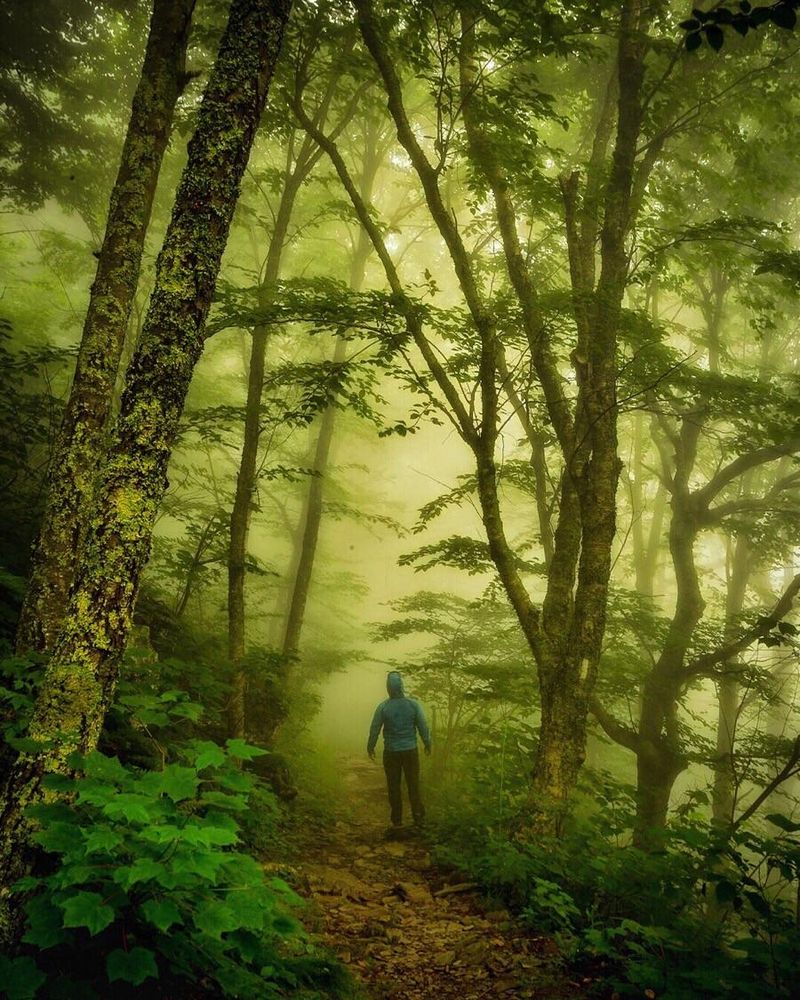 The Forgotten Trails of Appalachia