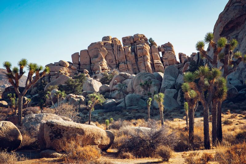 Joshua Tree's Hidden Valley