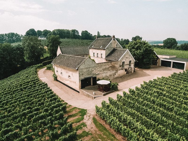 Maastricht's Secret Vineyard