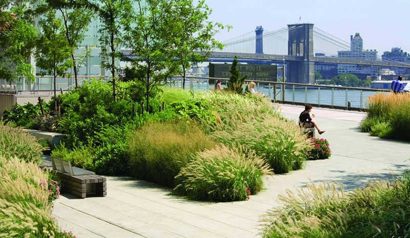 The Elevated Acre