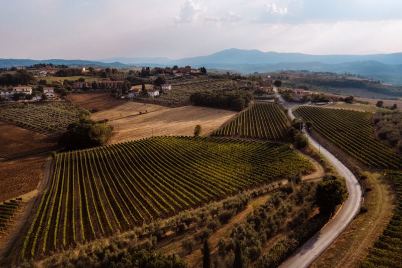Vineyards Off the Beaten Path