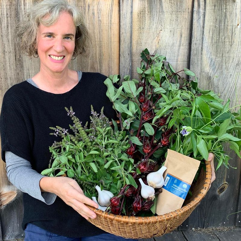 The Herbal Healer