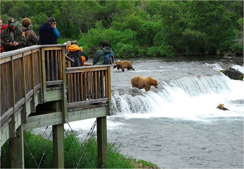 Katmai National Park, Alaska