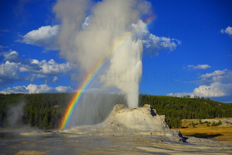 Yellowstone National Park