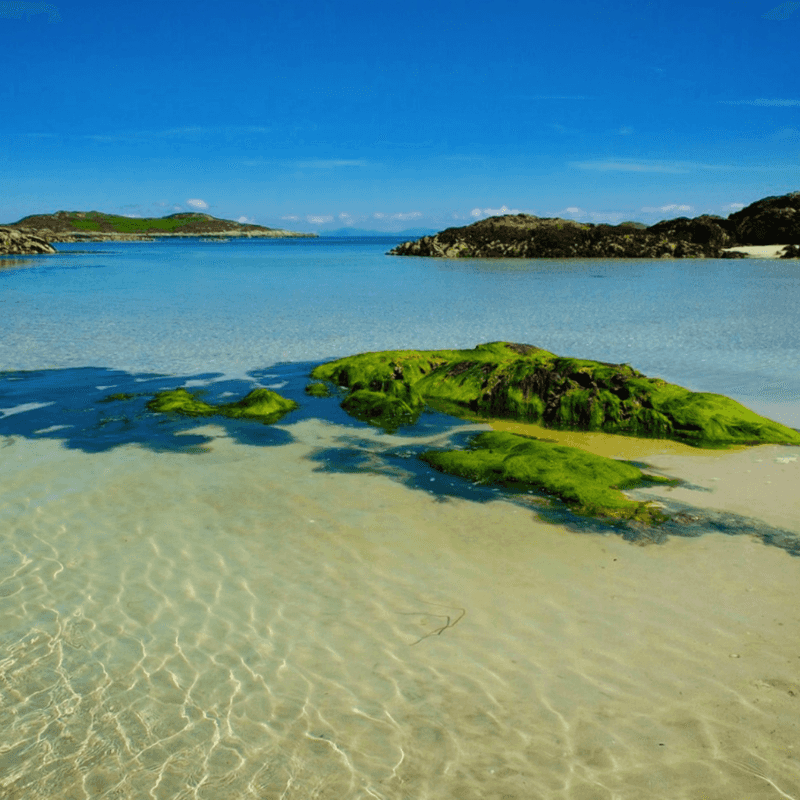 Isle of Coll