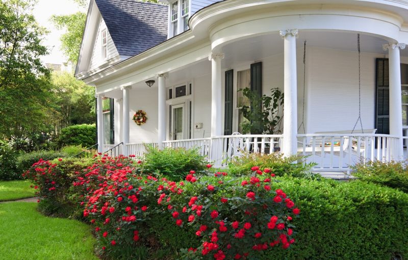 Mississippi: The Southern Charm