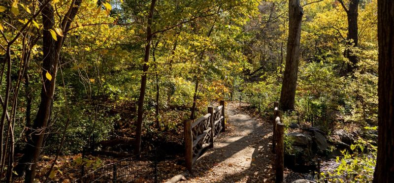 New York: Secrets of Central Park