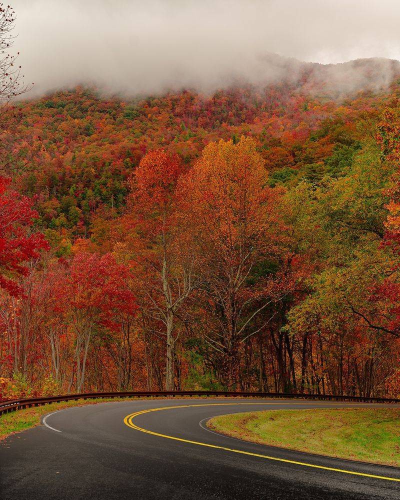 Cherokee National Forest