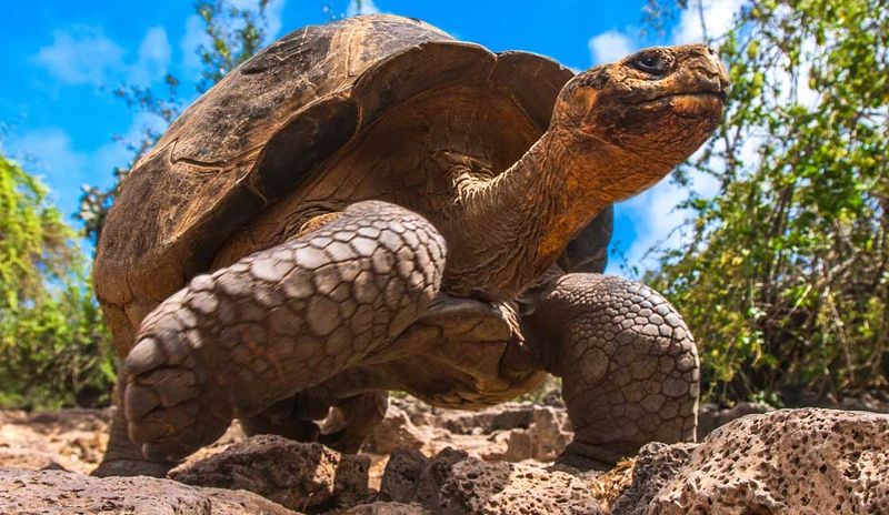 Galápagos National Park