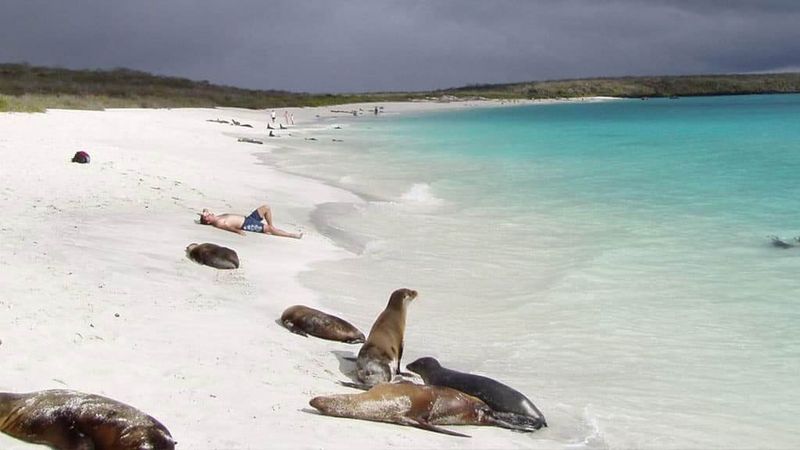 Galápagos Islands