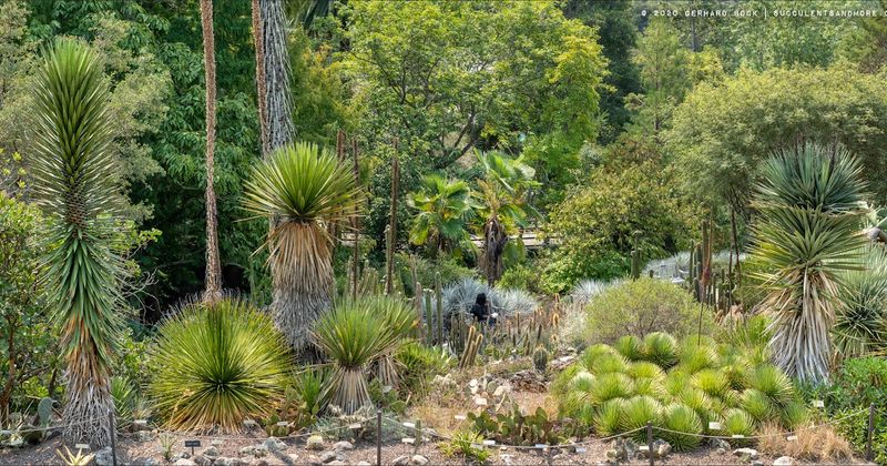 Visit the UC Botanical Garden