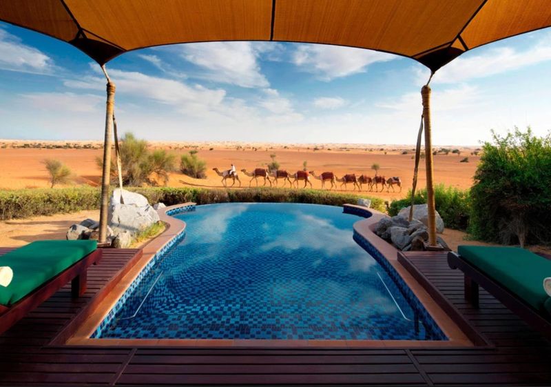 Ultimate Desert Oasis