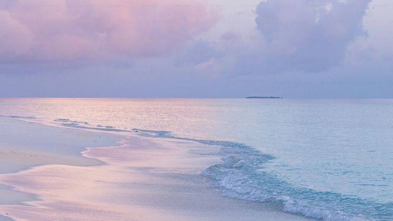 Serene Shores