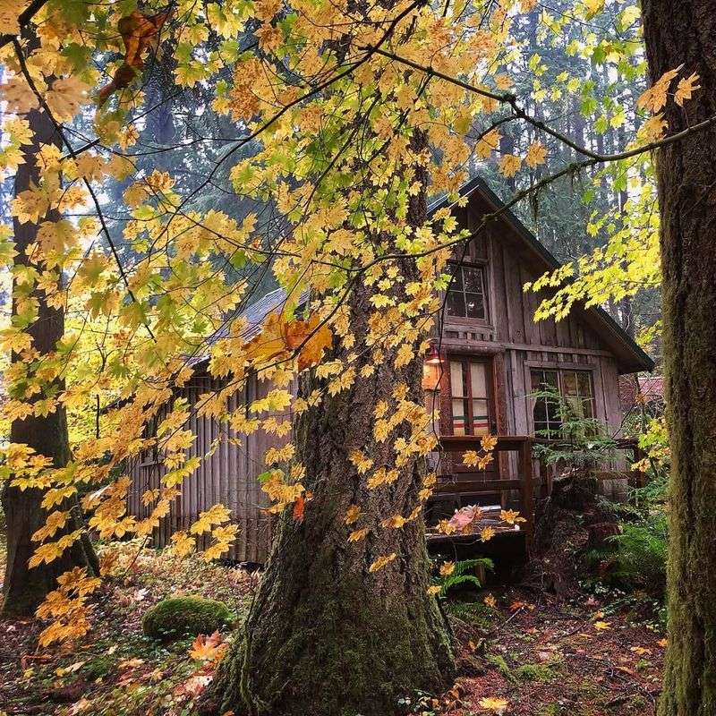 Cedar Haven Getaway