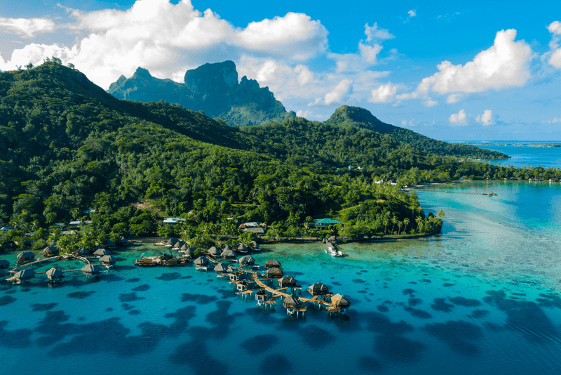 South Pacific Paradise