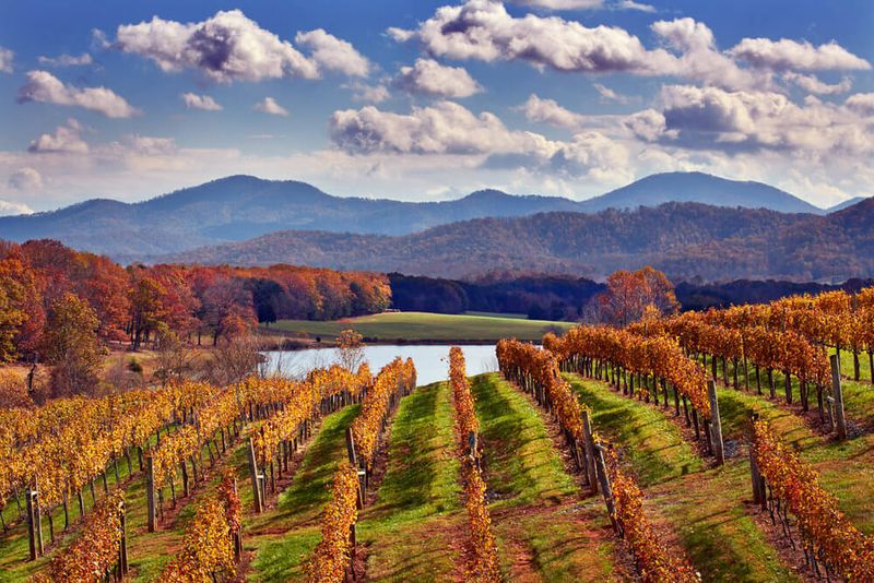 Charlottesville, Virginia