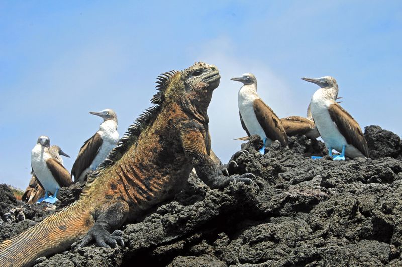 Exploring the Galápagos Islands