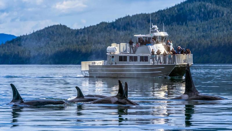 Truth 3: Rich Marine Life