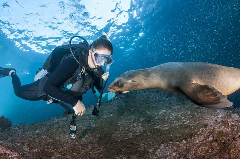 Galápagos Islands, Ecuador