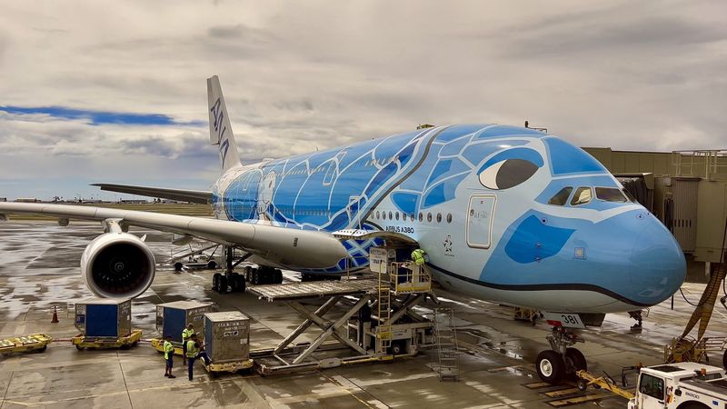 ANA's Unique A380 Flying Honu