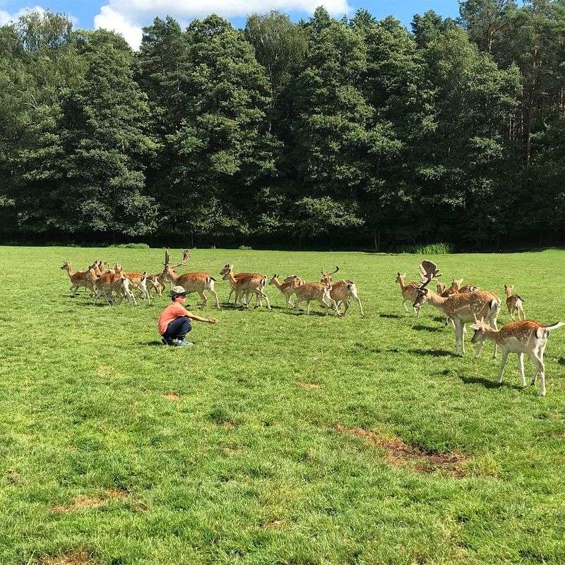 Kadzidłowo Wildlife Park