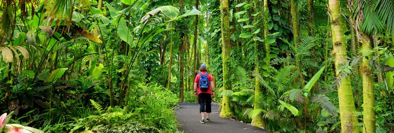 Venturing Off the Path Without Guidance