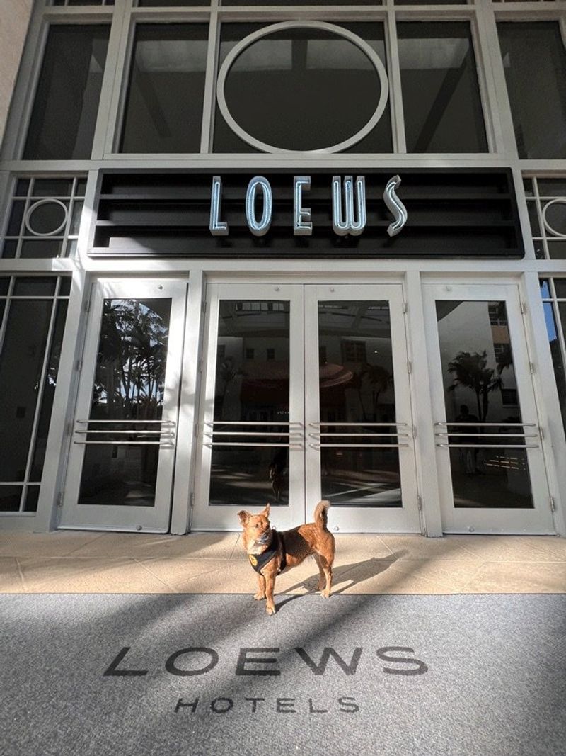 Consider Hotel's Pet Entrance Accessibility