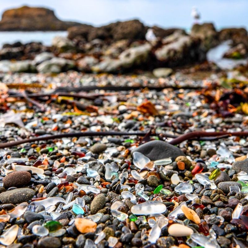 The Sea Glass Treasure Hunt