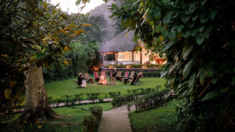 Bwindi Impenetrable Forest, Uganda