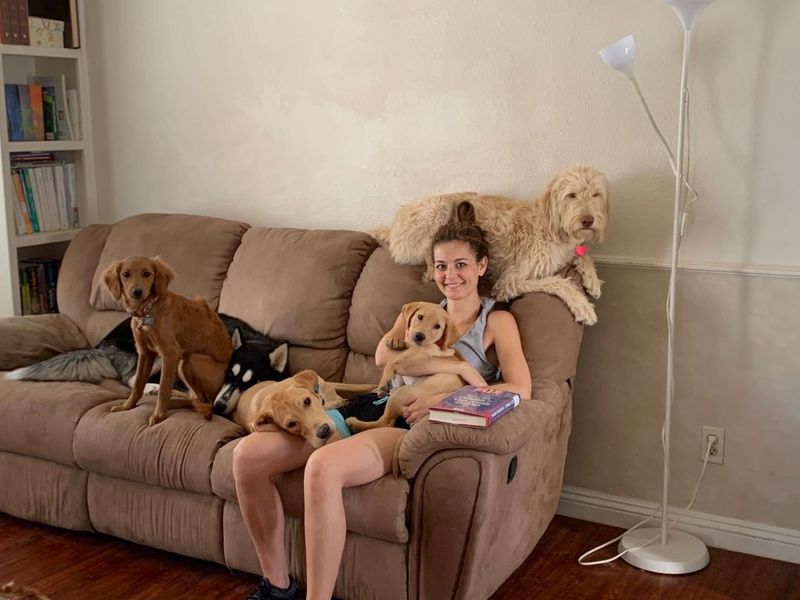 Assess Pet-Sitting Options