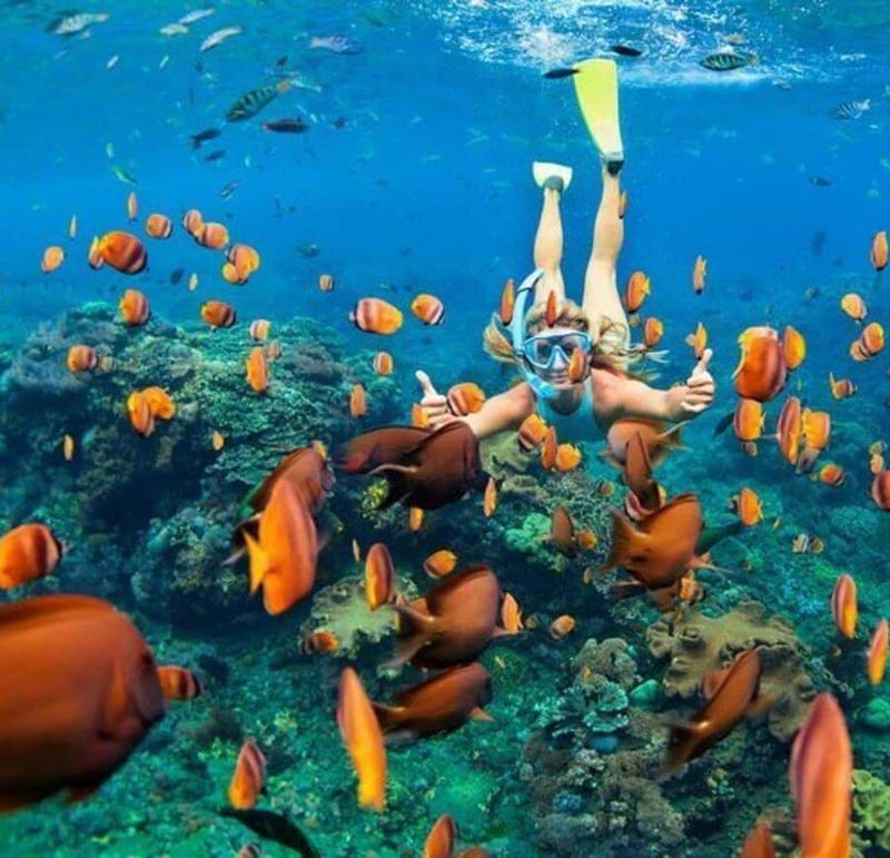 Coki Beach, U.S. Virgin Islands