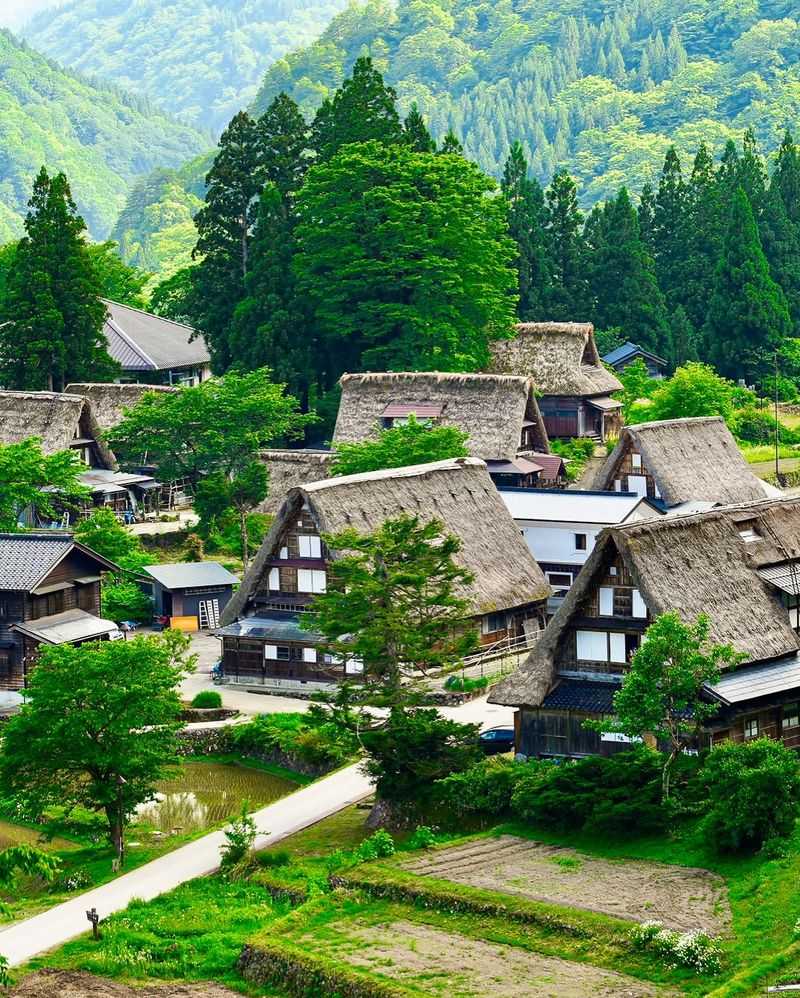 Ainokura's Traditional Homes