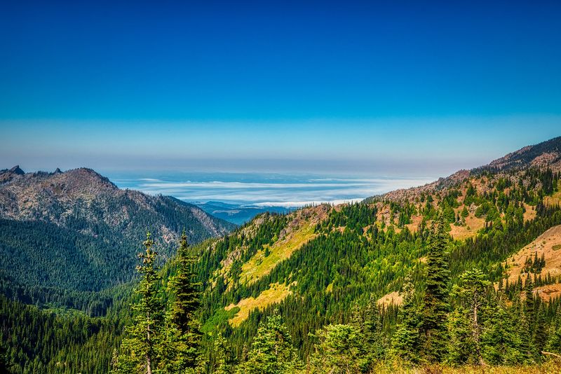 Washington: Olympic National Park