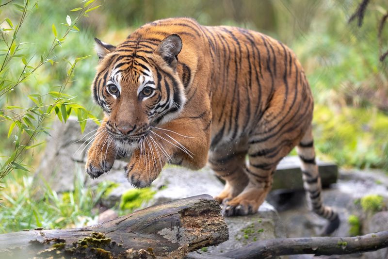 Washington - Woodland Park Zoo