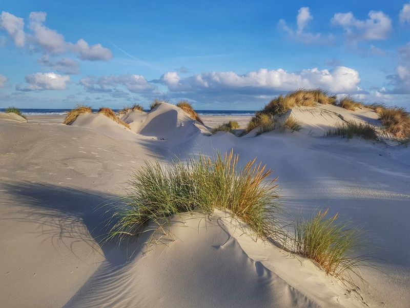 Terschelling, Netherlands