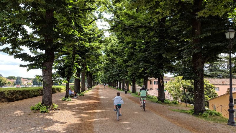 Visit: Lucca, Italy