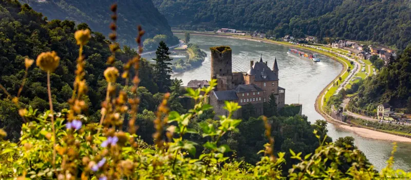 Rhine River