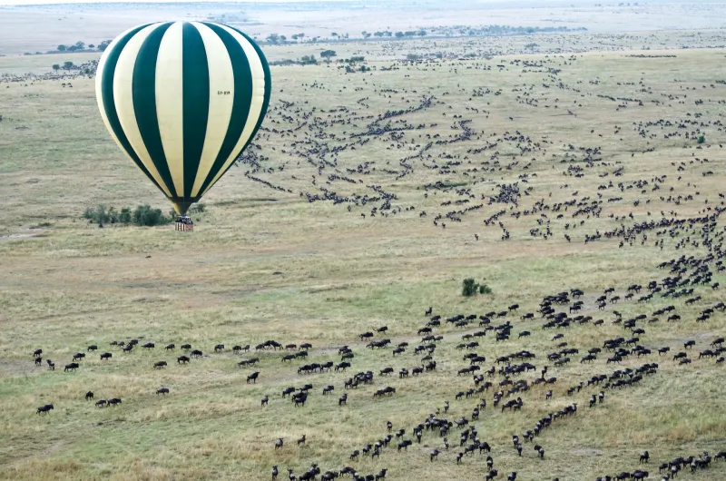 Masai Mara, Kenya